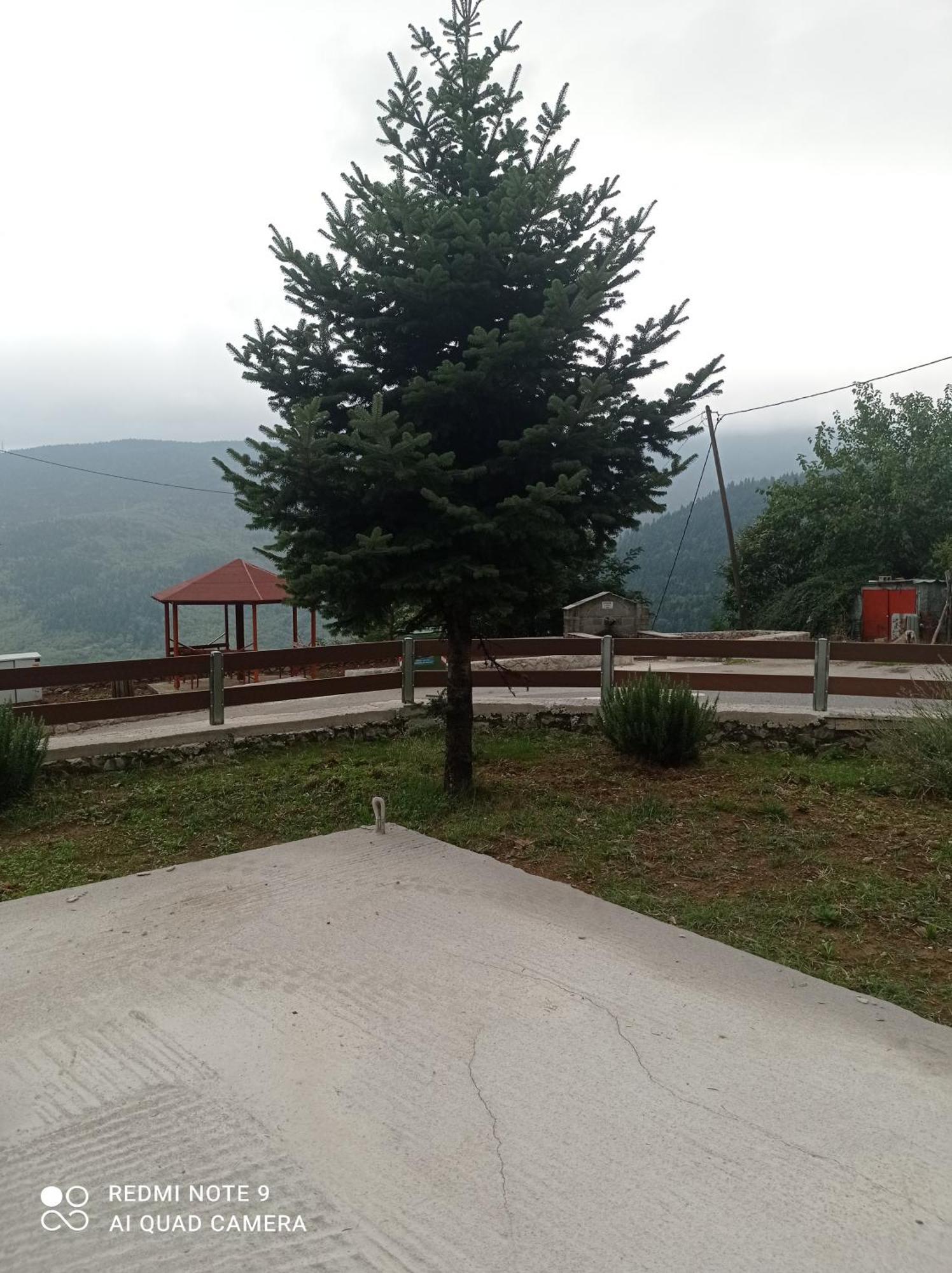 Άγρια Λούλουδα Κατοικία Αρμονία Timfristos Exterior foto